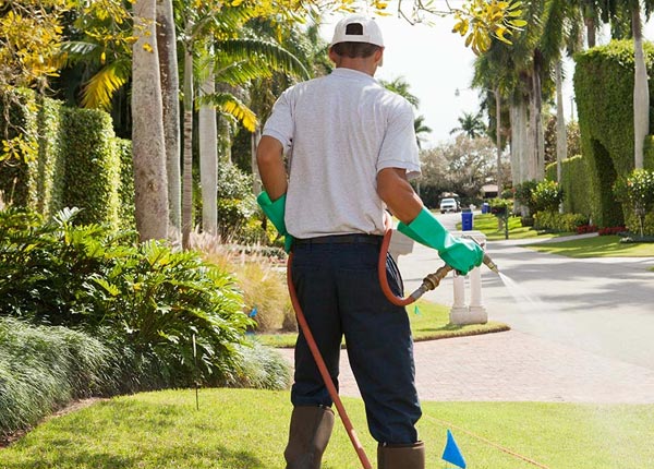 About Mountain Dale NY Pest Control